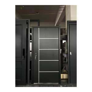 Waterproof Contemporary Aluminum Exterior Panel Front Entry Door