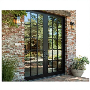 Sunnysky French Style Exterior Entry Double Tempered Glass Aluminum Swing Door