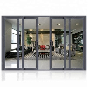 Luxury Partition Wall Sliding Door