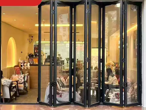 Extremely Narrow Glass Door Folding Door Black Sliding Door