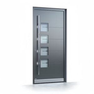 Custom Modern Aluminum Pivot Entry Security Door
