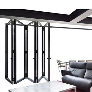 Interior Modern Foldable Aluminium Alloy Accordion Mosquito Net Door