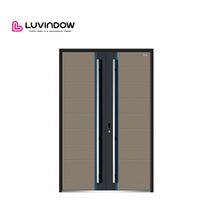 Custom Fireproof Aluminum Entrance Doors
