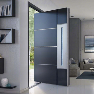 Modern Aluminum Glass Pivot Front Security Door
