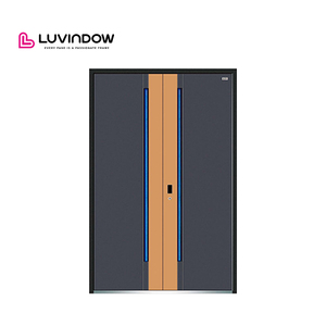 China Top Manufacturer Security Custom Fireproof Aluminum Entrance Doors