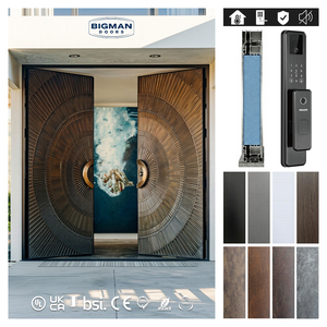 Australia Modern Carving Circular Radiating Design Double Exterior Villa Main Entrance Aluminum Security Door